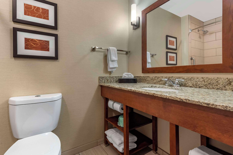 Bathroom 4, Comfort Suites Bridgeport - Clarksburg, Harrison