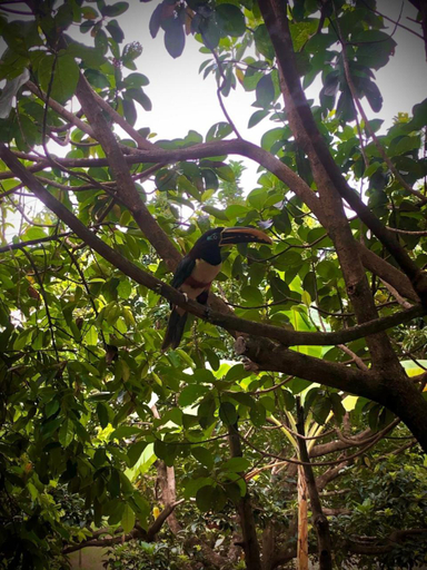 Others 4, Ecolodge La Corocora, Monterrey