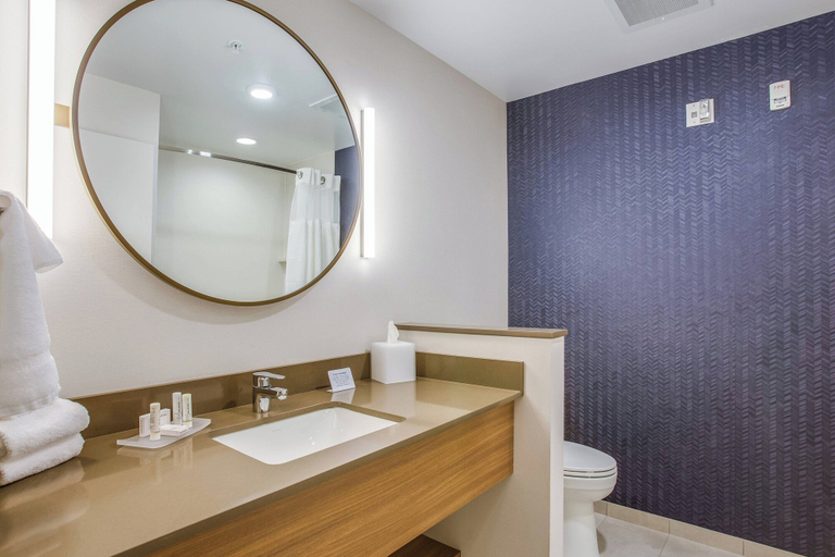 Bathroom 4, Fairfield Inn & Suites by Marriott Rolla, Phelps