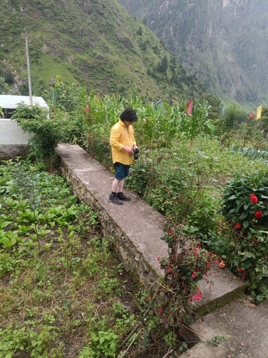 Exterior & Views 2, Ganga Resort Govindghat, Chamoli