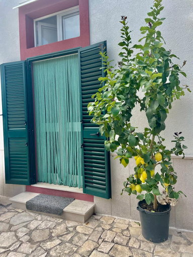 Others 5, B&B Case Vacanza Orchidea marina di Macchia a Mattinata Gargano, Foggia
