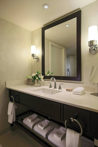 Bathroom 4, Renaissance Arlington Capital View Hotel, Arlington