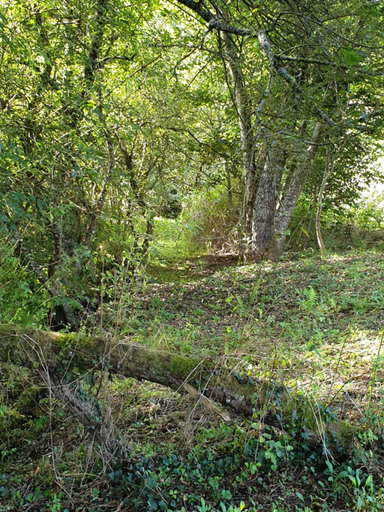 Others 2, au grain de folie, Corrèze
