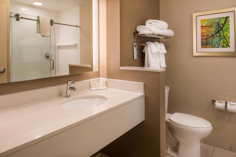 Bathroom 4, Fairfield Inn & Suites St Louis Westport, Saint Louis