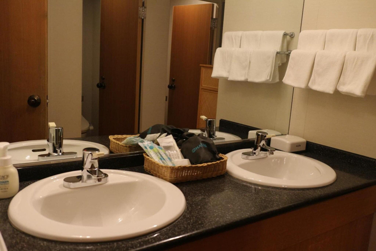 Bathroom 4, Naspa New Otani, Minamiuonuma