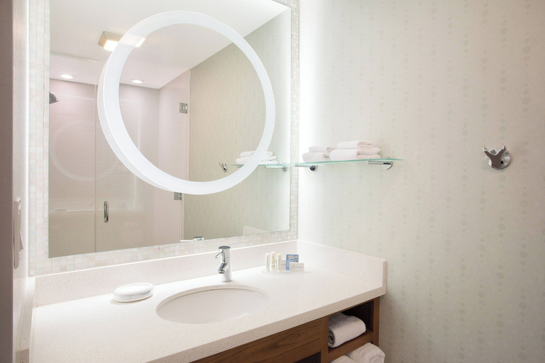 Bathroom 4, SpringHill Suites by Marriott Ewing Princeton South, Mercer