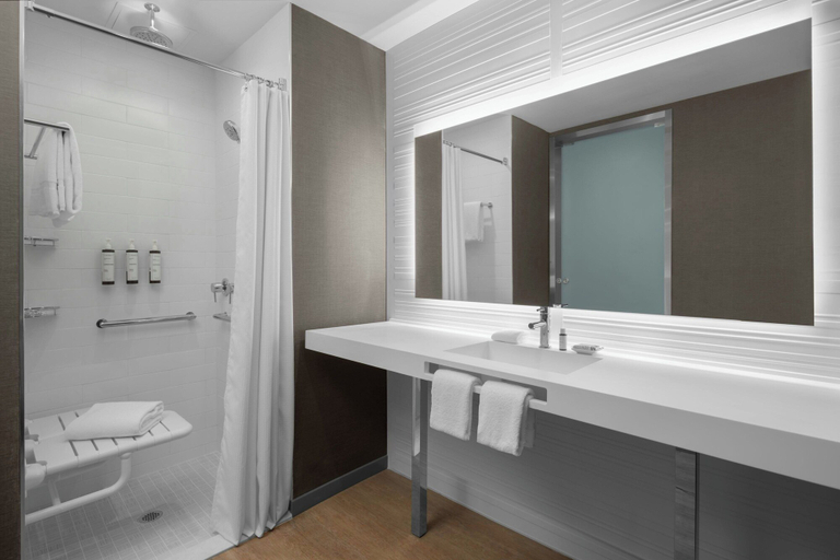 Bathroom 4, AC Hotel Clearwater Beach, Pinellas
