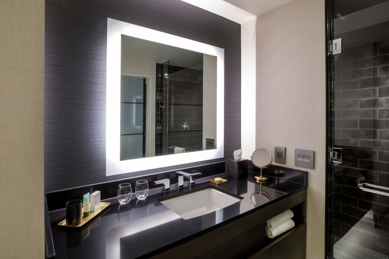 Bathroom 5, Hotel Vin, Grapevine, Autograph Collection, Tarrant