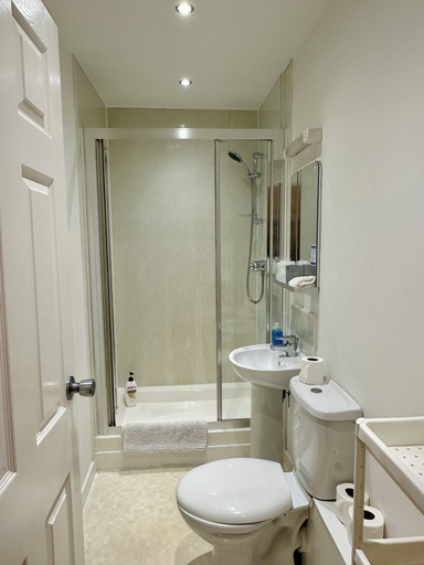 Bathroom 3, The Elbow Room, Fife