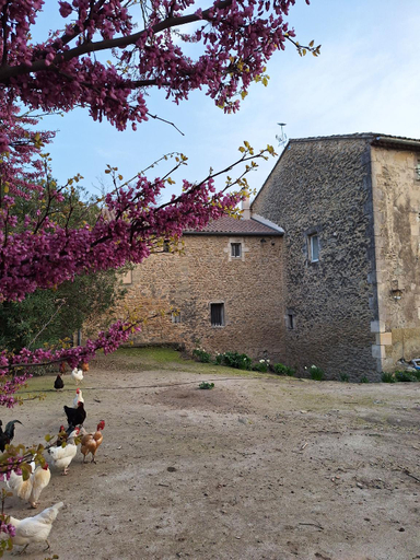 Others 2, Fannys cottage Moulin de Tartay Avignon, Vaucluse