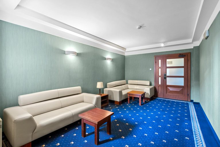 Public Area 2, Hotel Diament Vacanza, Będzin
