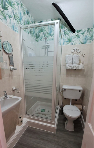 Bathroom 4, Greylands Guest House, Powys