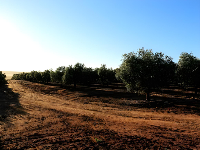 Others 3, Herdade da Calada, Arraiolos