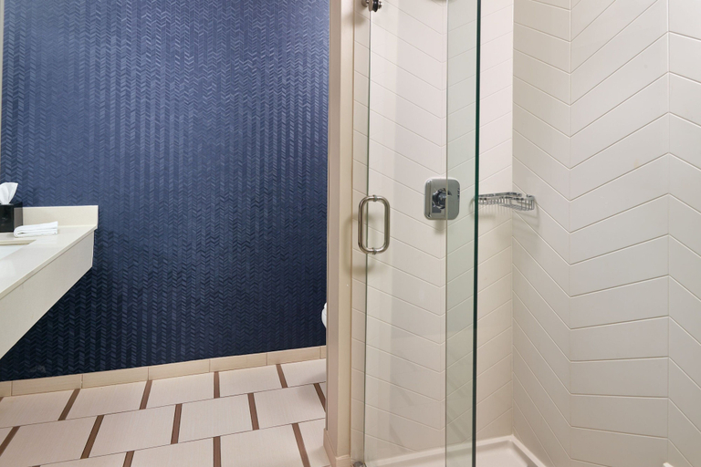 Bathroom 5, Fairfield Inn & Suites by Marriott Anderson Clemson, Anderson
