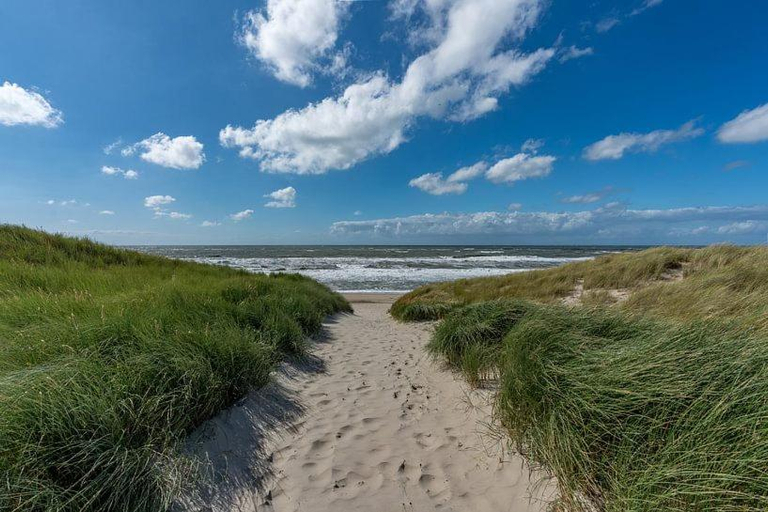 Others 5, La Primavera, Texel
