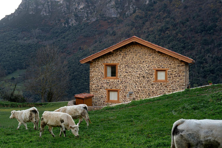Others 2, Apartamentos Luarna, Cantabria