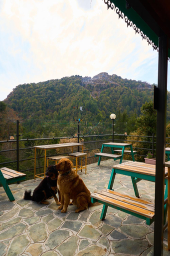 Others 4, Seegreen Lodges, Dehradun