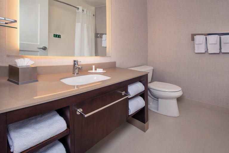 Bathroom 4, Residence Inn Fulton at Maple Lawn, Howard
