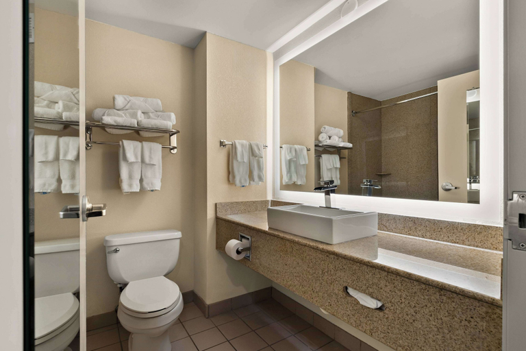 Bathroom 4, Ramada by Wyndham Harrisburg/Hershey Area, Dauphin