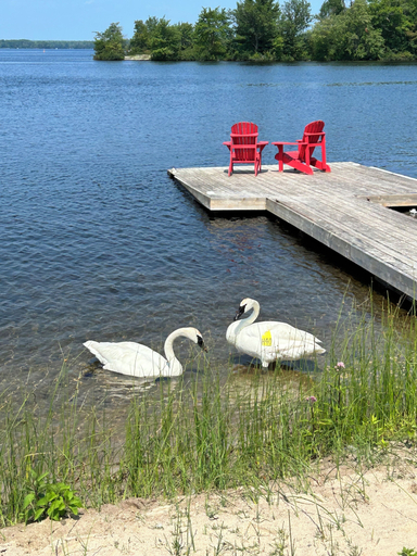 Others 5, Christies Mill Inn & Spa, an Ascend Collection Hotel, Lake Hurron