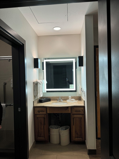 Bathroom 4, Homewood Suites by Hilton Jackson, Teton