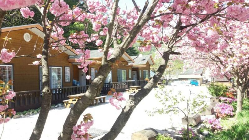 4, Gangneung Woojin Hwangto Pension, Gangneung