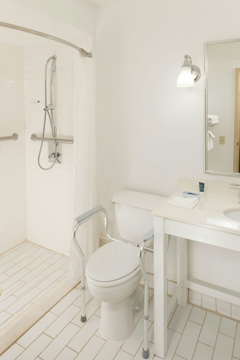 Bathroom 3, Four Points by Sheraton Asheville Downtown, Buncombe