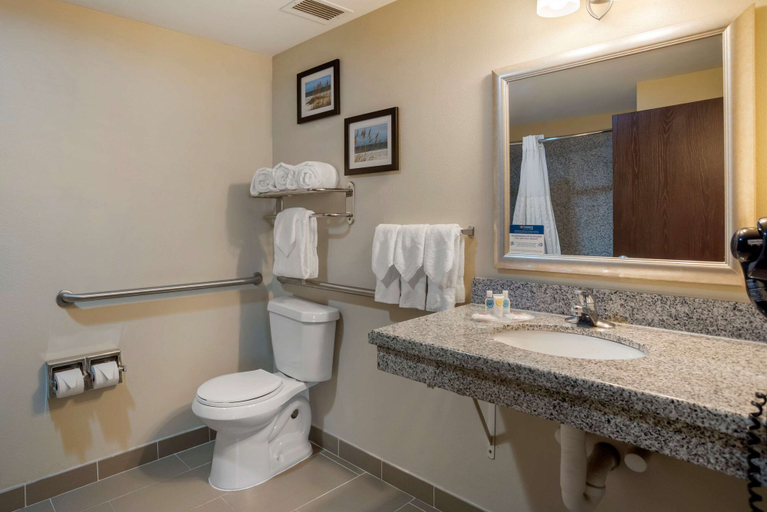 Bathroom, Comfort Suites Foley, Baldwin