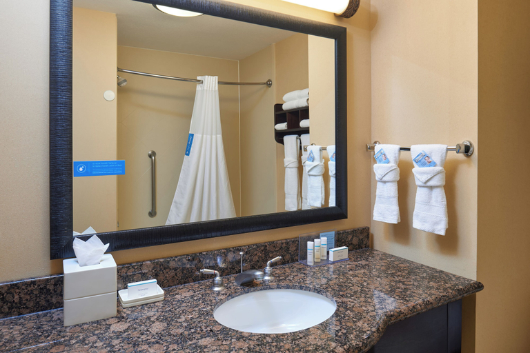 Bathroom 4, Hampton Inn & Suites Austin South/Buda, Hays
