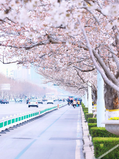 Sport & Beauty, Atour X Hotel Weifang Municipal Square Dongfang Road, Weifang