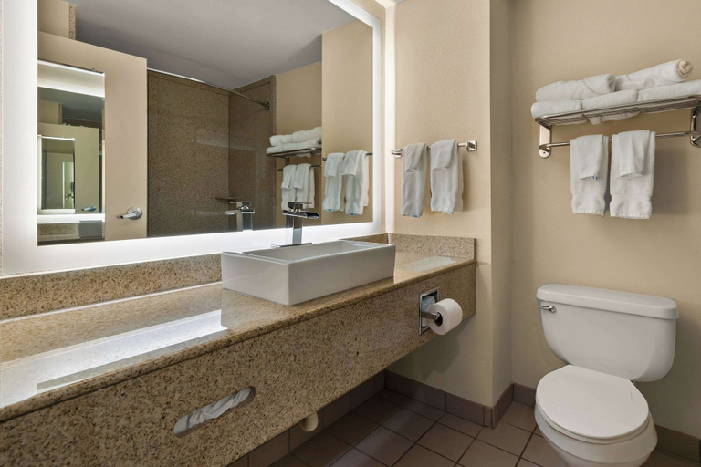 Bathroom 4, Ramada by Wyndham Harrisburg/Hershey Area, Dauphin