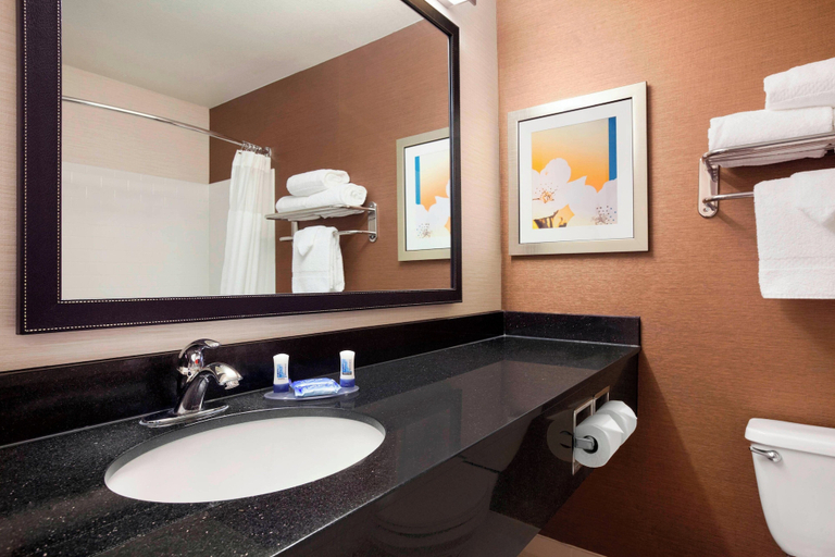 Bathroom 4, Fairfield Inn & Suites Lansing West, Eaton