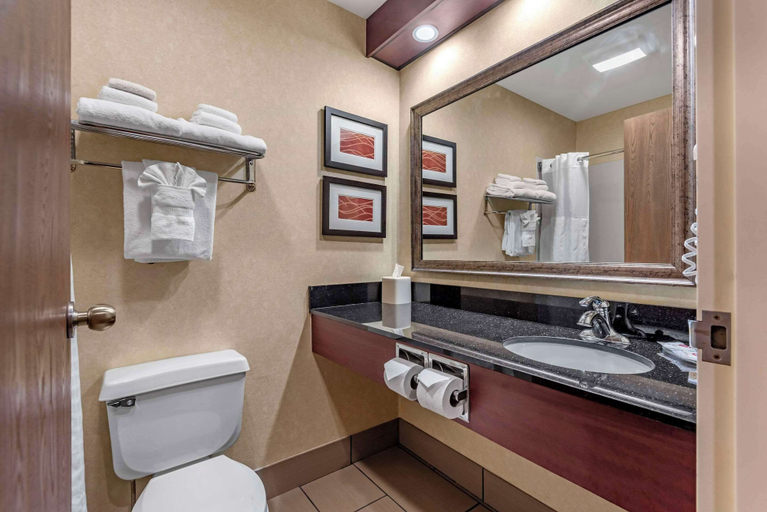 Bathroom 4, Comfort Inn Augusta, Kennebec
