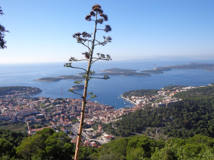 Others 3, Ana Tudor Apartments, Hvar