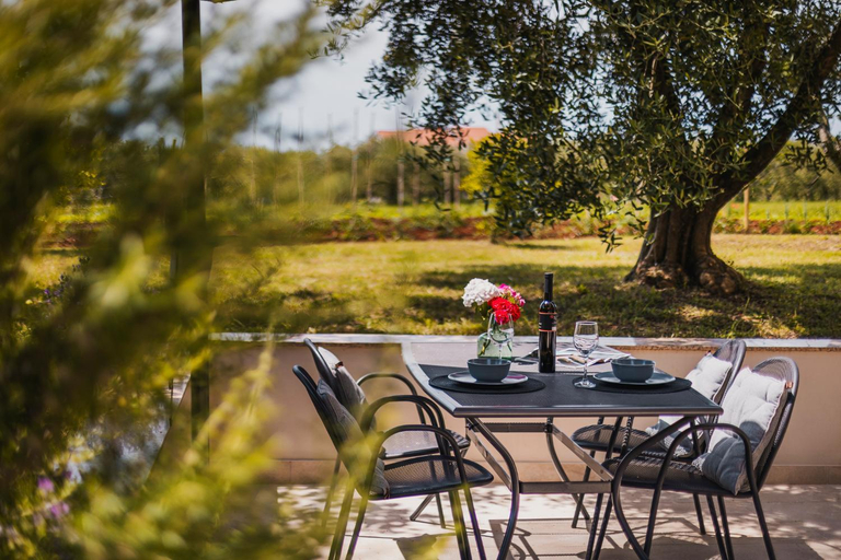 Others 5, Apartments Olea, Novigrad