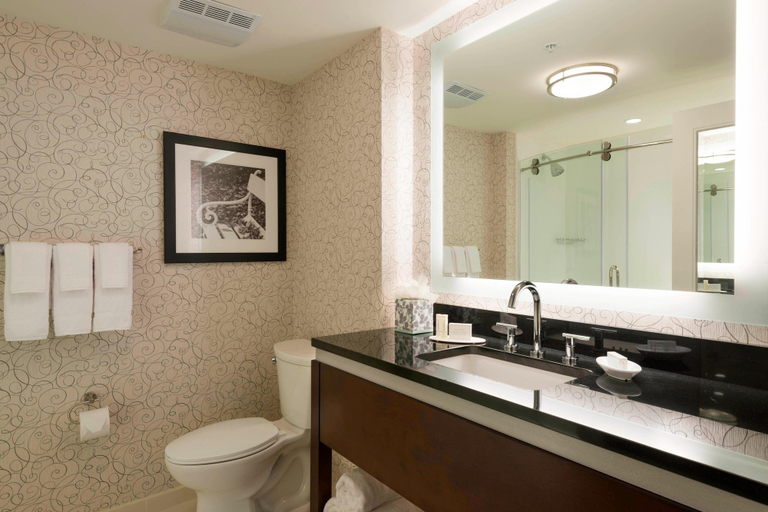Bathroom 4, Residence Inn Orangeburg, Rockland