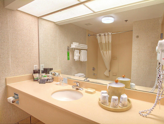 Bathroom 2, Hampton Inn Kayenta, Navajo