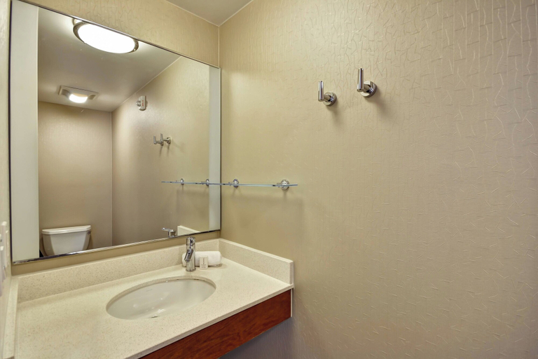 Bathroom 4, SpringHill Suites Tallahassee Central, Leon