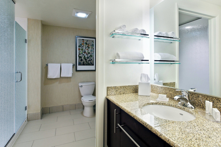 Bathroom 5, Residence Inn Little Rock Downtown, Pulaski