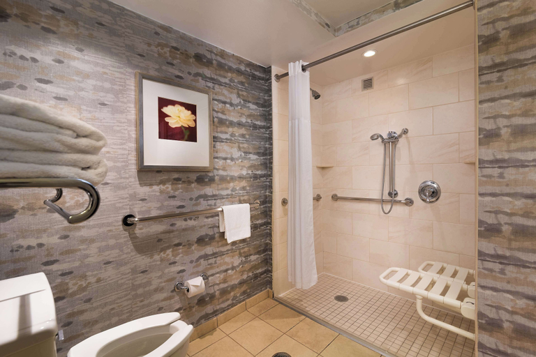 Bathroom 5, Hilton Lexington/Downtown, Fayette