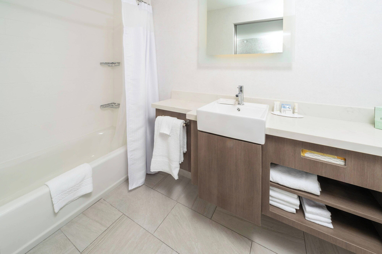 Bathroom 4, SpringHill Suites by Marriott Island Park Yellowstone, Fremont