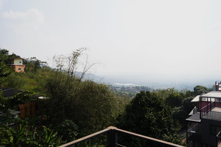 Scenery 7