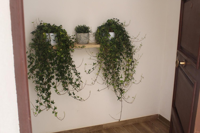 5, Annale, Trapani
