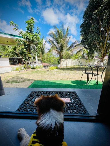 View 4, Tierra Bukid en Amadeo, Amadeo