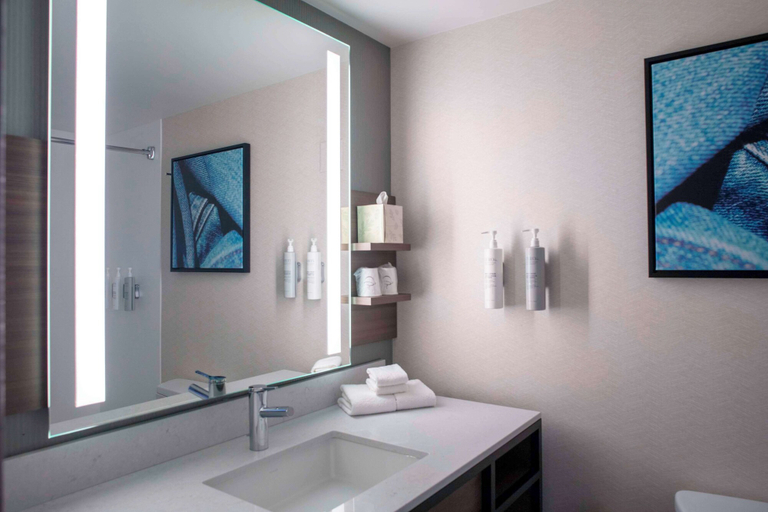 Bathroom 4, Hilton Garden Inn Roanoke Rapids, Halifax