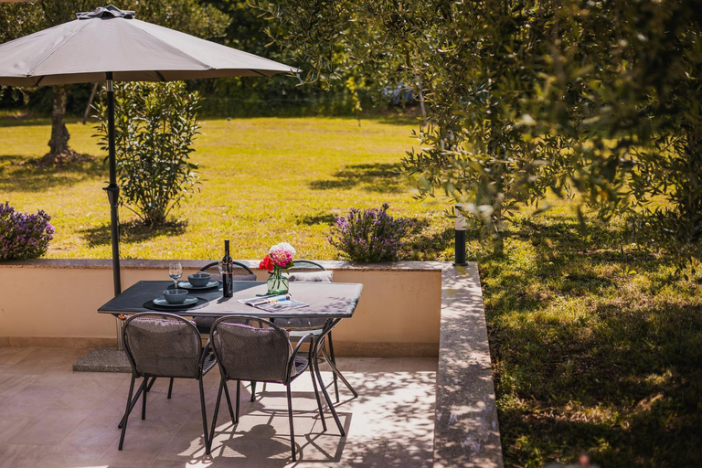 Others 4, Apartments Olea, Novigrad