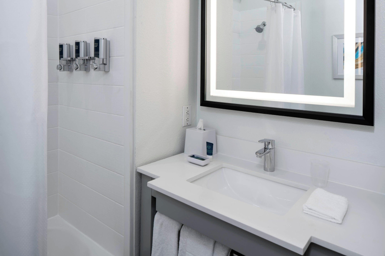 Bathroom 4, Four Points by Sheraton Dallas Arlington Entertainment District, Arlington