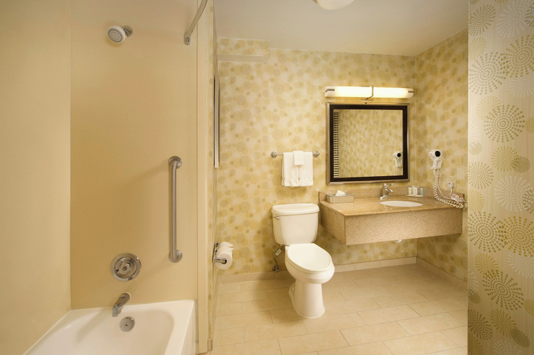 Bathroom 4, Comfort Inn Downtown Dc/Convention Center, Washington D.C.