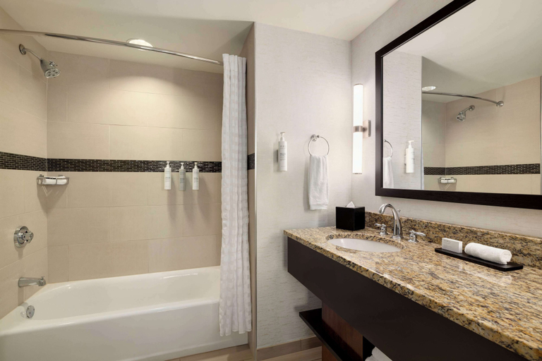 Bathroom 4, Embassy Suites Chattanooga / Hamilton Place, Hamilton