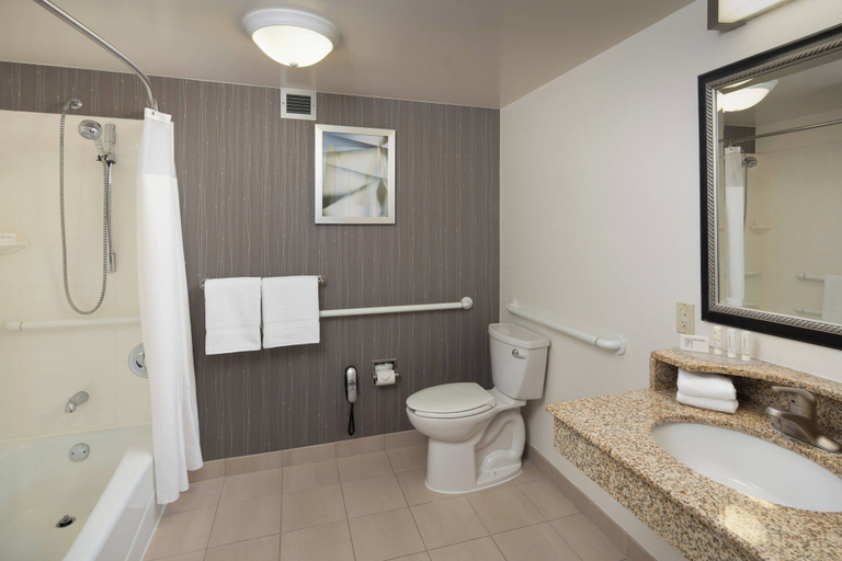Bathroom 4, Courtyard by Marriott Chicago Wood Dale, Dupage